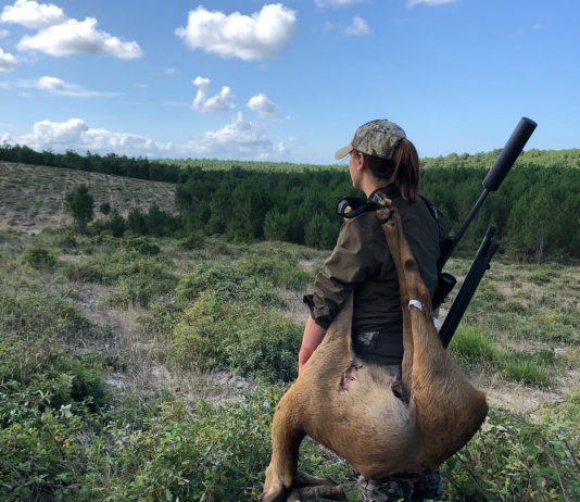 brocard fiona chasse