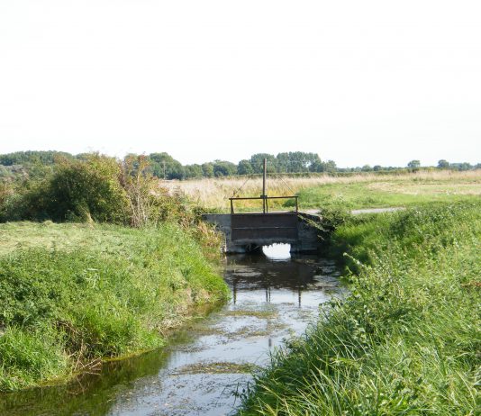 La Somme, près de l'eau